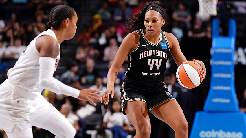 New York Liberty Defense: The Blueprint